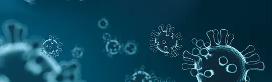 Genomic epidemiology to understand virus evolution
